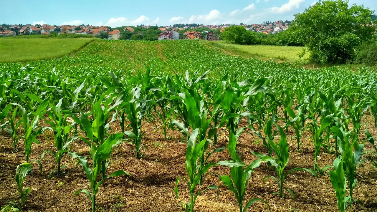 FARM_CONVERT