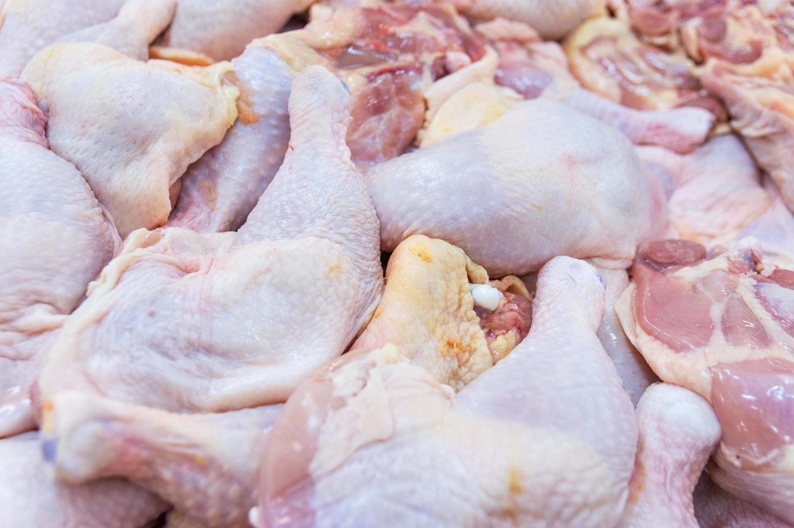 fresh-chicken