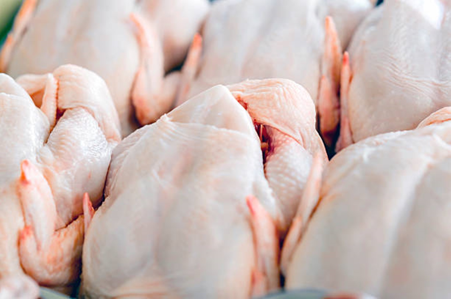 Raw butchered chicken in queue