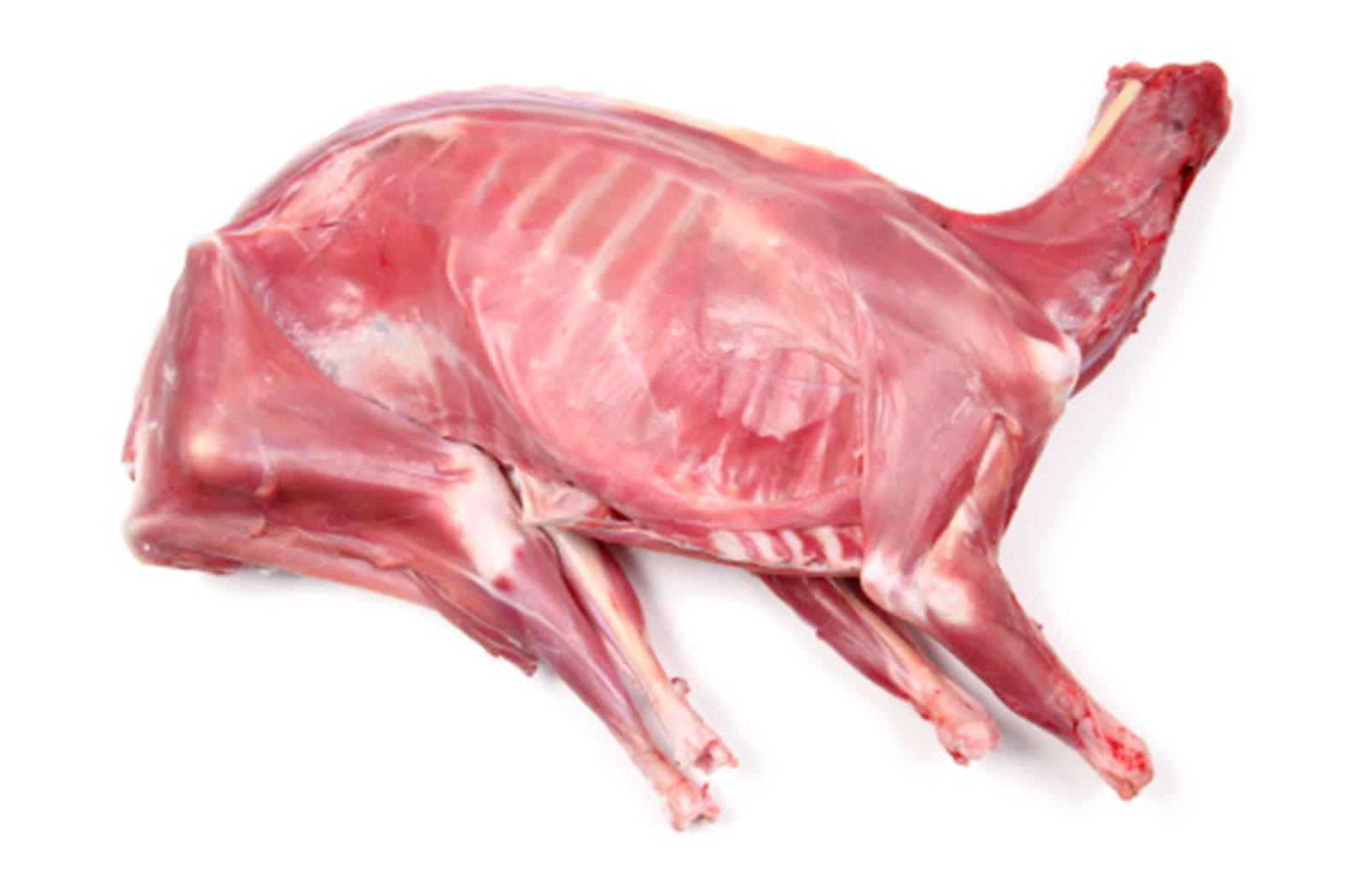 Piece of Fresh Goat Meat