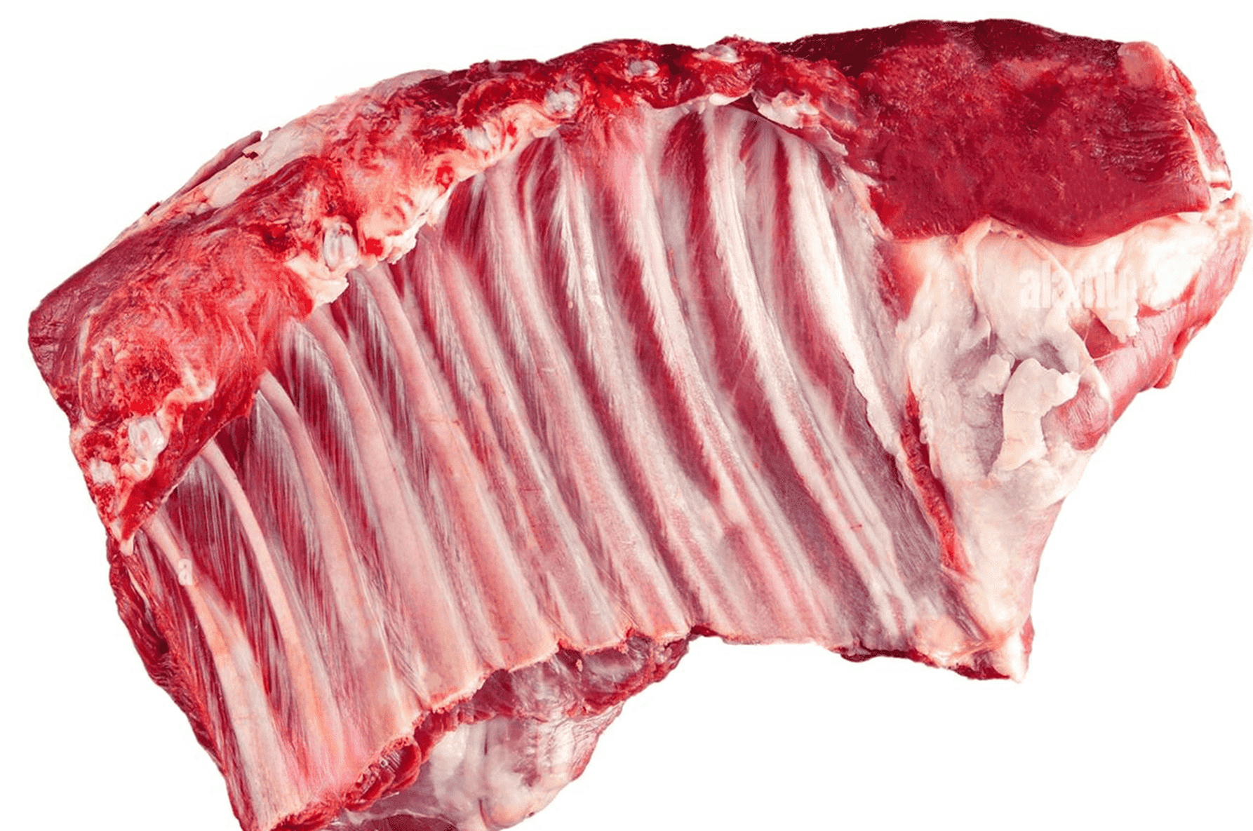 goat_meet_optimized_900